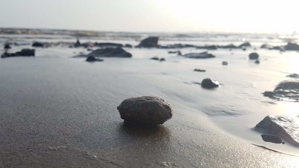 Black Sand Beach of Dumas, Surat